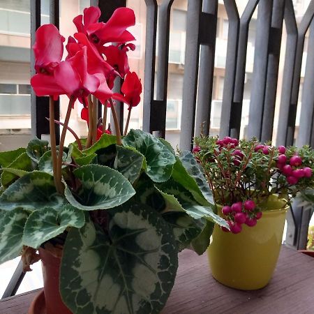 La Valigia Sul Letto Bed & Breakfast Catania Ngoại thất bức ảnh