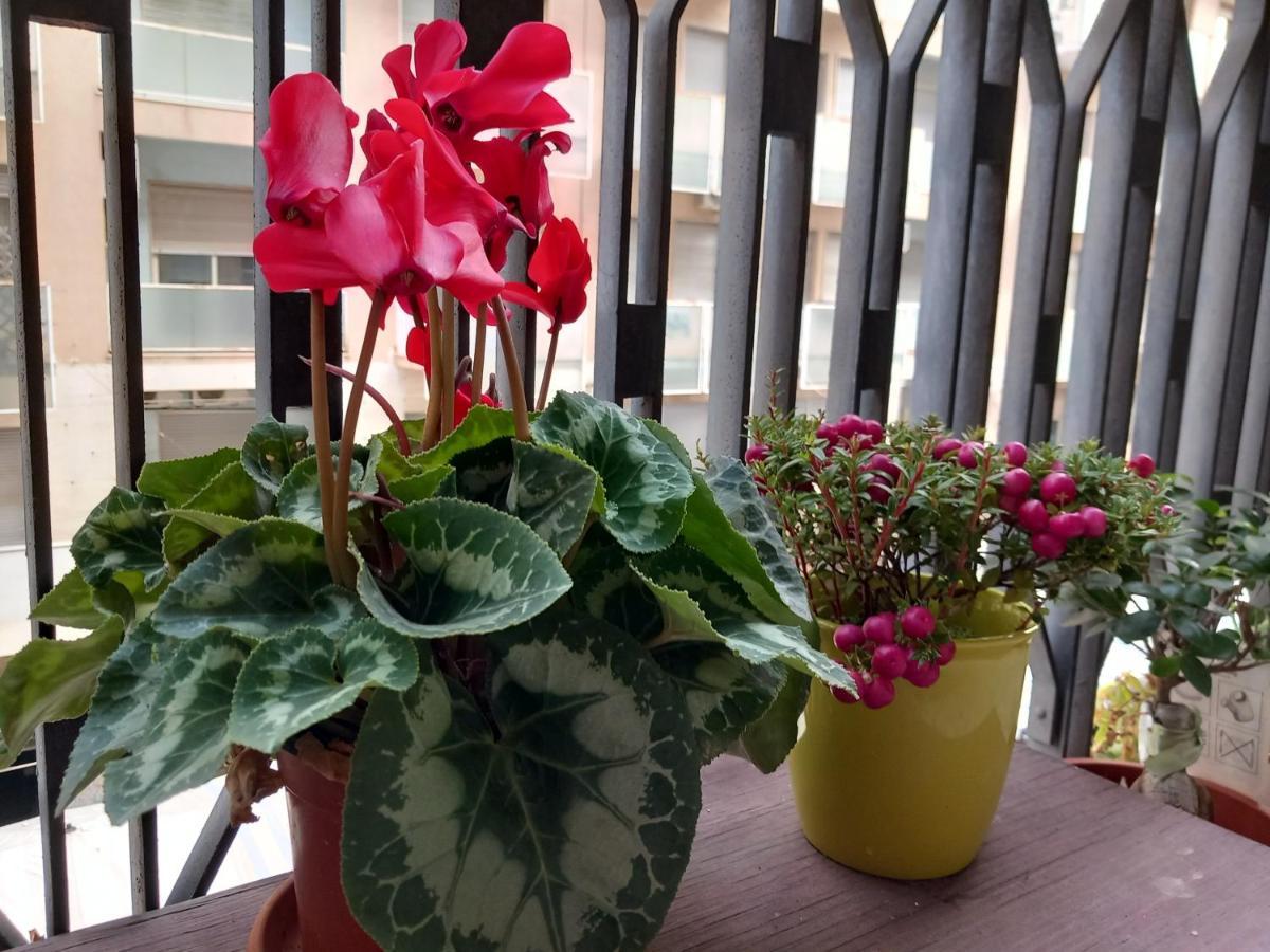 La Valigia Sul Letto Bed & Breakfast Catania Ngoại thất bức ảnh